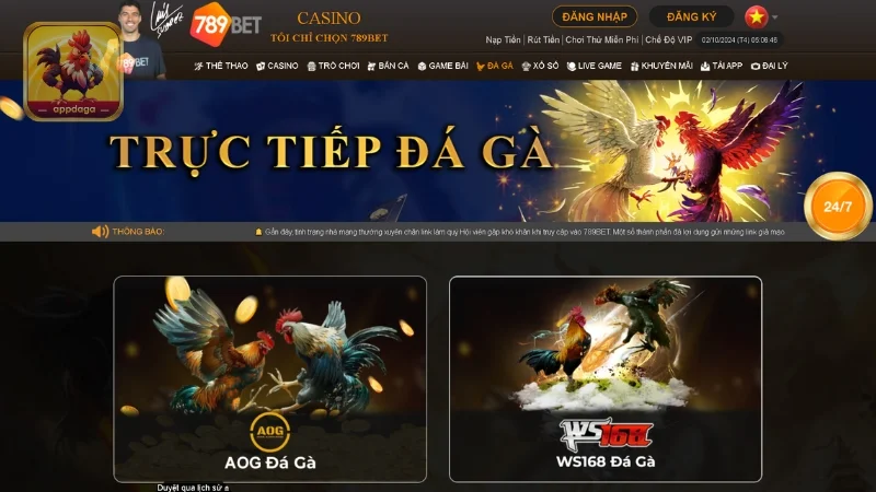 App đá gà 789BET - Trải nghiệm cá cược đẳng cấp số 1